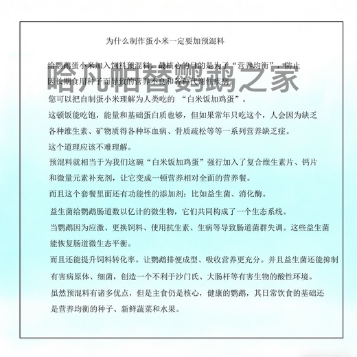 Havanpatil premix 100g