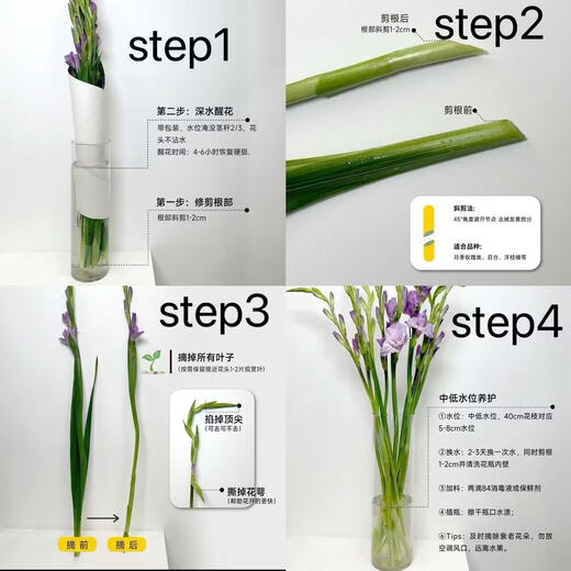 Pink gladiolus has high flowers, New Year's Eve flowers, Guangzhou sends Spring Festival decorations, Valentine's Day gifts, 65-70cm long, 5 pink gladioli flowers