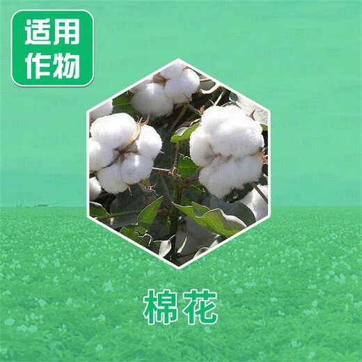 Lezhuangfeng 80% acetoallin fungus bacteria root rot blight bacterial wilt kill moss disease Youjun pesticide fungicide 500g