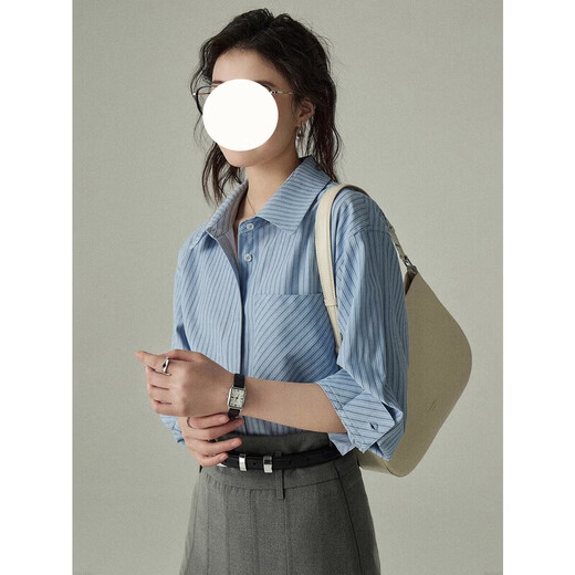 Fei Yao blue striped shirt women's spring and autumn temperament professional commuting early spring layered long-sleeved loose versatile casual shirt blue striped shirt M