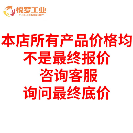 Japan original imported AS series portable high-precision small precision bar level AS101