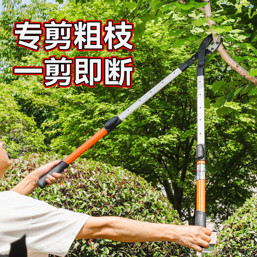 Hejian tribute branch scissors retractable shark mouth powerful scissors 5 garden fruit trees high branches strong thick branches pruning shears steel pipe non-retractable cut 6 cm