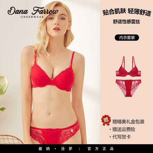 DANA FARROW new European and American sexy women's birth year underwear lace push-up adjustable bra set push-up comfortable bra blue 75B