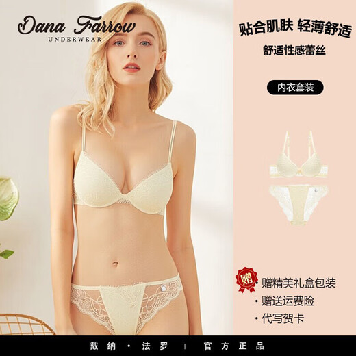 DANA FARROW new European and American sexy women's birth year underwear lace push-up adjustable bra set push-up comfortable bra blue 75B