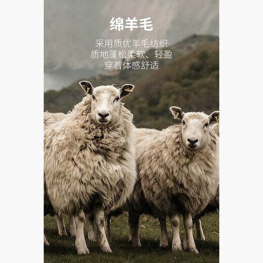 HECHTER cardigan, commuting, daily comfort, men's long-sleeved jacket, versatile spring, autumn and winter clothes, brown 2XL