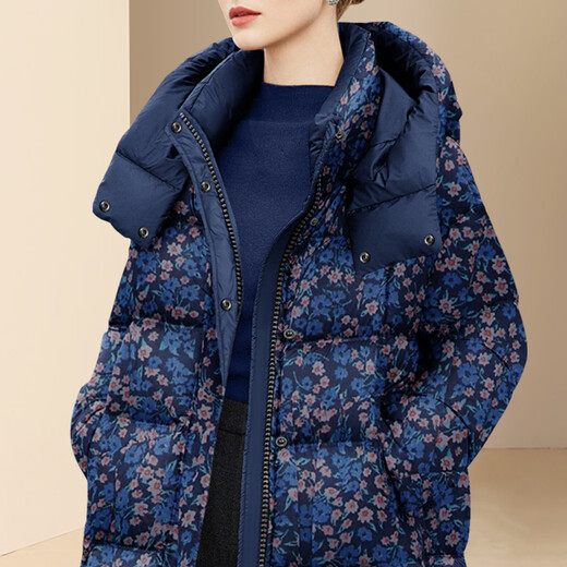 迪菲丽格独特别致印花连帽羽绒服女2025年冬季新款气质冬装厚外套 图片色 M