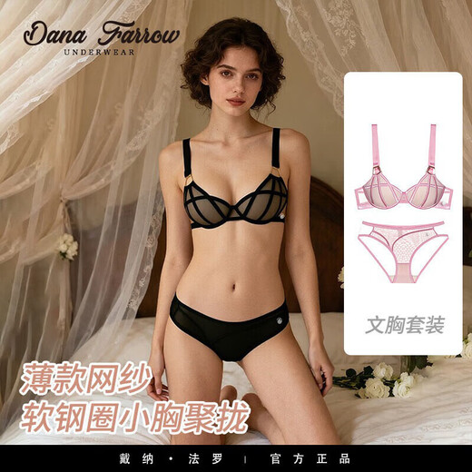 DANA FARROW brand 2026 new sexy underwear women's push-up small chest thin wide shoulder straps anti-sagging bra set for women red set 70A one size fits all