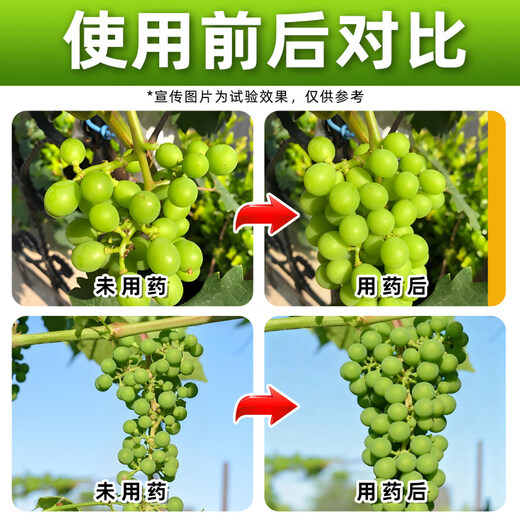 Guowang 0.35% Gibberella Chlorfenuron Grape Growth Regulator Grape Special Growth Regulator Authentic Pesticide 100ml*1 Bottle Store Hot Sale