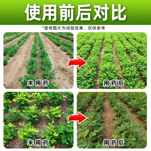 Barometer 20% choline chloride s-induced factor growth regulator peanut growth regulator dual-effect compound genuine pesticide 500g*1 bottle welfare model