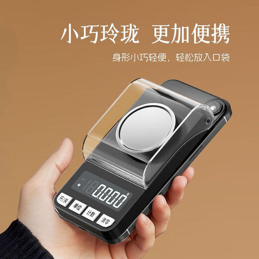 ZHIZUN Electronic Scale Gram Weighing 0.001g High-Precision Weighing Small Scale Weighing Gold Jewelry Scale 0.001g Kitchen Scale Portable Balance Weighing Pharmacy Micro Lipstick Powder Thousand Weighing 50g/0.001g Rechargeable Silver