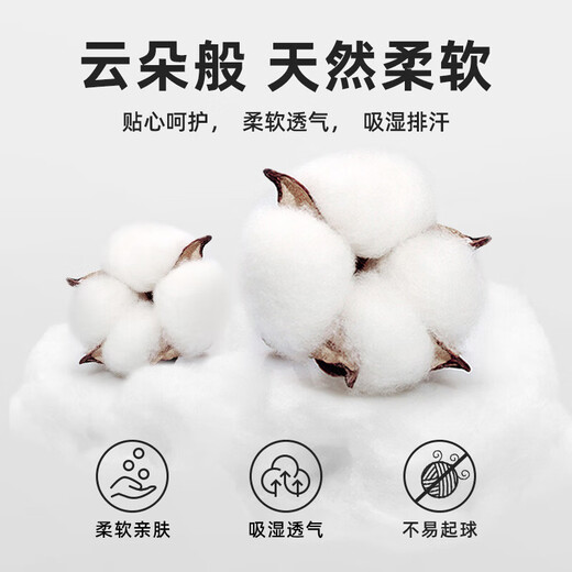 Piggy Banner (PEPCO) boys' T-shirt short-sleeved sports breathable loose top children's casual versatile summer wear pure cotton 2 pieces 12 140 recommended weight 56-68 Jin Jin equals 0.5 kg