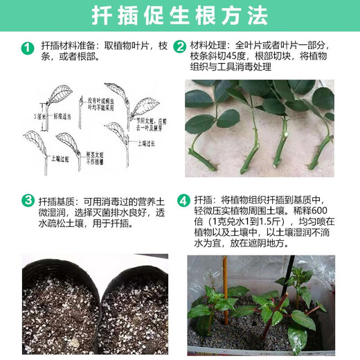 Zhongbao Penwang Hydroxylene Adenine Adenine Vegetable Growth Growth Regulator 20g/bag