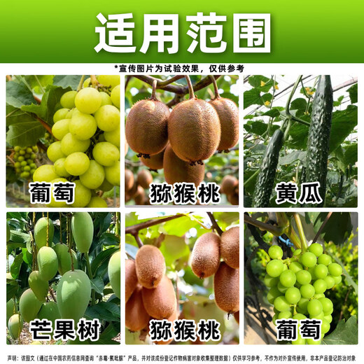 Guowang 0.35% Gibberella Chlorfenuron Grape Growth Regulator Grape Special Growth Regulator Authentic Pesticide 100ml*1 Bottle Store Hot Sale