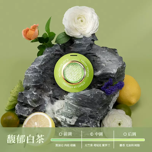 Yusenyi French car air outlet special aromatherapy fragrance beads car interior decoration plastic car pendant fragrance deodorization green fragrant white tea