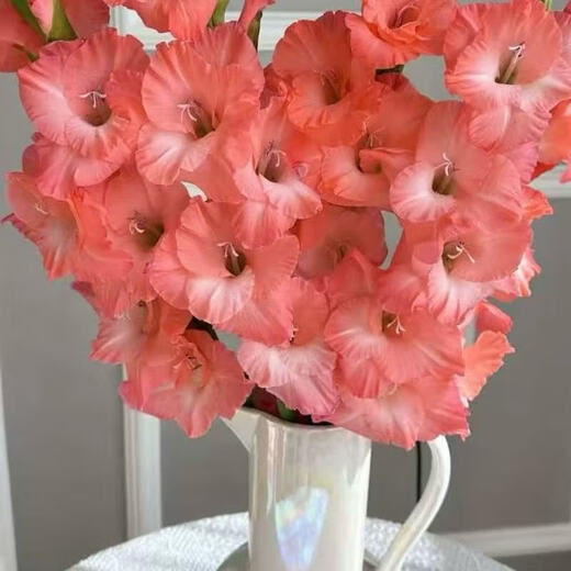 Pink gladiolus has high flowers, New Year's Eve flowers, Guangzhou sends Spring Festival decorations, Valentine's Day gifts, 65-70cm long, 5 pink gladioli flowers
