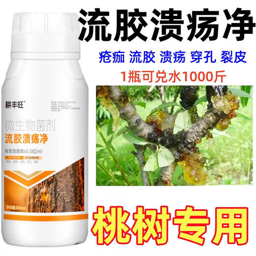 Gengfengwang peach tree gum disease special medicine peach tree gum disease one spray to clear peach tree scab disease perforation canker peach tree gum disease medicine 100ml (can be mixed with 200 Jin Jin equal to 0.5 kg of water)