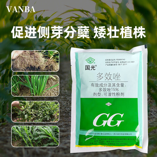 Guoguang 15% paclobutrazol multi-effect dwarfing agent for rice seedlings to control excessive growth and control leggy growth regulator 40g