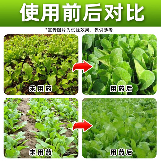 Zhaoyao 24-Epirutamine fresh ester, special growth regulator for Chinese cabbage, special growth regulator for Chinese cabbage, genuine 500ml*1 bottle, best-selling model in the store