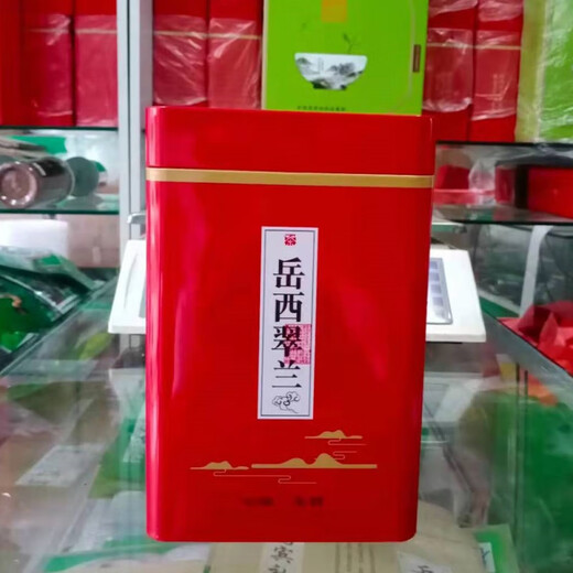 Yanhai 2024 New Tea Head Picking Tea Anhui Alpine Yunwu Yuexi Cuilan Mingqian Special Gift Box Cuijian Green Tea 250.0g Half Jin Jin is equal to 0.5 kg Gift box