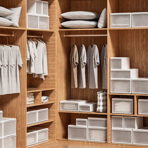 Wing Fantasy Drawer Storage Box Underwear Storage Box Clothing Organizer Clothes Storage Box Wardrobe 3023 Depth 47 Width 20 Height 25 Single Pack (New Free Combination)