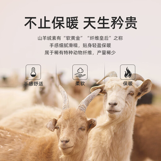 YOUNGOR shirt men's autumn and winter business casual high-end warm long-sleeved shirt blue plain 41