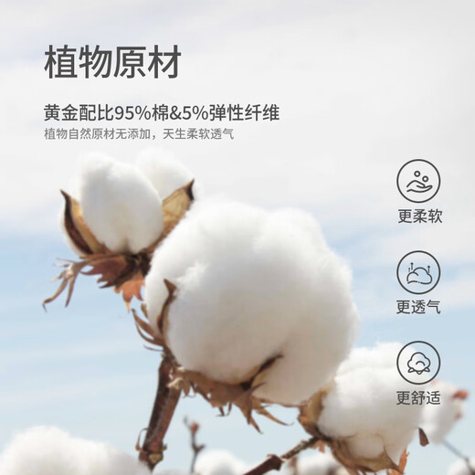 Koala nose, high-end texture, classic Polo bag, soft cotton, comfortable and versatile clothes for babies