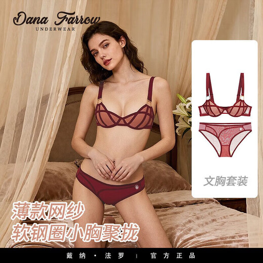 DANA FARROW brand 2026 new sexy underwear women's push-up small chest thin wide shoulder straps anti-sagging bra set for women red set 70A one size fits all