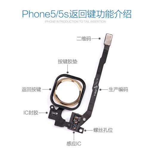 Fanrui is suitable for Apple iphone5 middle button 5home button 5shome fingerprint recognition 5s return cable 5c assembly repair and replacement 5S black [home button assembly]