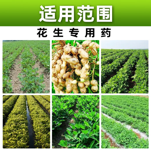 Barometer 20% choline chloride s-induced factor growth regulator peanut growth regulator dual-effect compound genuine pesticide 500g*1 bottle welfare model