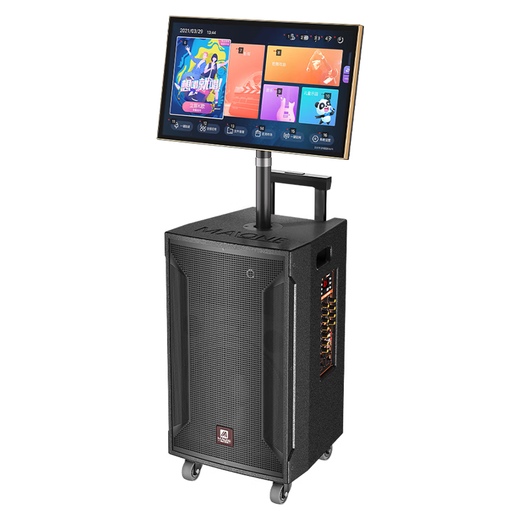 Manlong square dance audio high-power wireless microphone bluetooth musical instrument internet celebrity live broadcast mobile outdoor high-end karaoke machine singing trolley speaker W-15S audio dual microphone + gift package