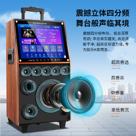 Xianfei outdoor square dance trolley audio with display screen home touch screen portable wifi mobile ktv trolley speaker video and song all-in-one machine 29-inch same screen version + single microphone + 32GU disk