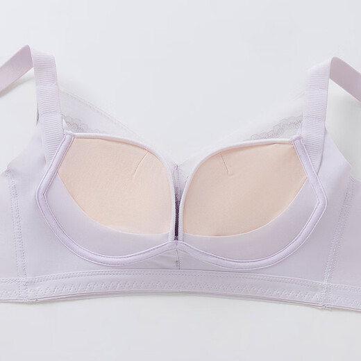 Fenton underwear for women 26 new style 10A antibacterial mugwort skin-nourishing small breast push-up and lift sexy lace wire-free bra light gray purple 80A