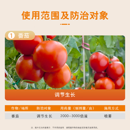 Guoguang Chongfeng 0.7% sodium nitrophenolate aqueous agent induces stress resistance, regulates yield, and increases early flowering tomato official authenticity 500mL*1 bottle