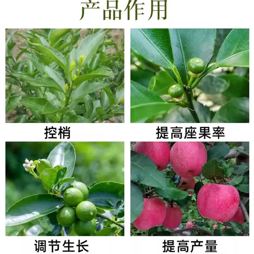 40% paclobutrazol, flumetrazol, citrus fruit tree growth control drug, lychee shoot control drug, and killin pesticide 1000g
