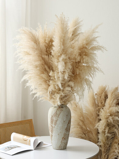 Internet celebrity natural reed pampas grass dried flower bouquet living room window soft decoration exhibition hall layout floor flower arrangement photo props 10 large pampas grass + mottled floor vase_length 120CM
