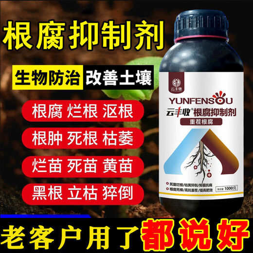 Root rot agent, anti-heavy crop root rot damping off, leaf rot, root root activation, soil manufacturer direct sale, benefit 10004 bottles + 1 measuring cup