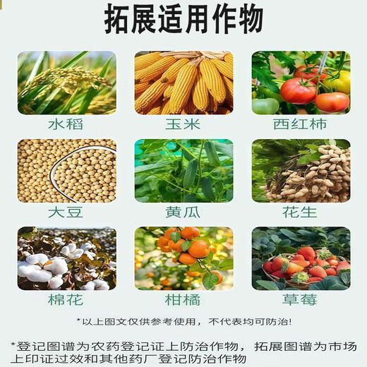 Benzylamine purine triacontanol plant growth regulator wheat corn rice fruit and vegetable growth regulator 2% benzylamine alkanol 500g * 1 bottle