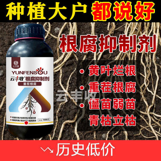 Root rot agent, anti-heavy crop root rot damping off, leaf rot, root root activation, soil manufacturer direct sale, benefit 10004 bottles + 1 measuring cup