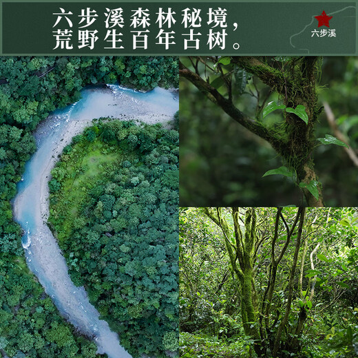 Little Senior Sister Reviews Tea 2017 Six Steps Linglong Tianjian Flake 6g*10 Anhua Black Tea Standard