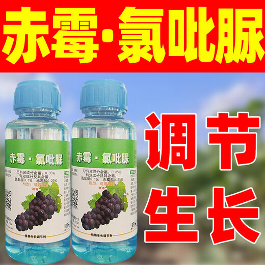 Guowang 0.35% Gibberella Chlorfenuron Grape Growth Regulator Grape Special Growth Regulator Authentic Pesticide 100ml*1 Bottle Store Hot Sale