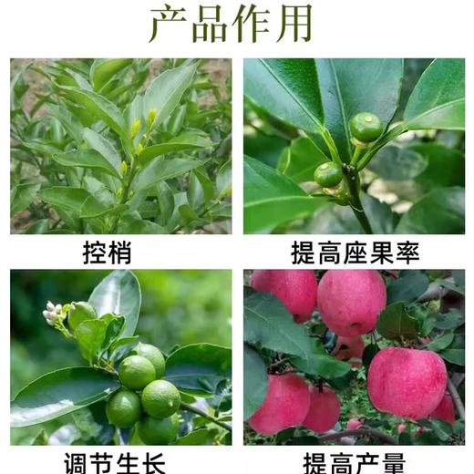 40% paclobutrazol, flumetrazol, citrus fruit tree growth control drug, lychee shoot control drug, and killin pesticide 1000g