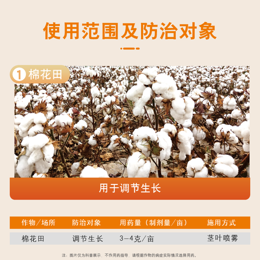Guoguang 98% Methionium Cotton Controls Growth, Shrinking, Insane Growth, Chlormequat, Dwarfing Plants, Manufacturer Direct Delivery Genuine Can Be Invoiced 10g*5 Bags