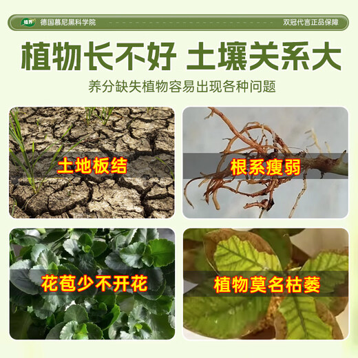 Soil Activator Soil Activator Flower Fertilizer Household Potted Plant Activation Anti-Sclerosis Rooting Fertilizer Nutritional Flower Green 1 Can Shipping Price Increase Really Not Profitable