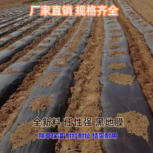 Ground black mulch plastic film for agricultural planting thickened anti-aging weeding insulation moisturizing and anti-weed greenhouse fruit tree greenhouse 11Jin Jin is equal to 0.5 kg black 1 silk thick 1.3 meters wide 345 meters long field style