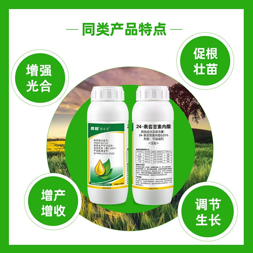 24 epibrassinolides, fruit trees, wheat, flower and fruit protection, anti-fruit drop, plant growth regulator pesticide 10ml*10 bags
