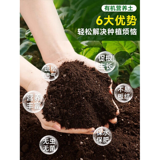 Nutrient soil, nutritious soil, general flower cultivation, special soil for growing vegetables, household type flower soil, loose and breathable strawberry succulent seedlings, general organic nutritious soil 30Jin, equal to 0.5kg