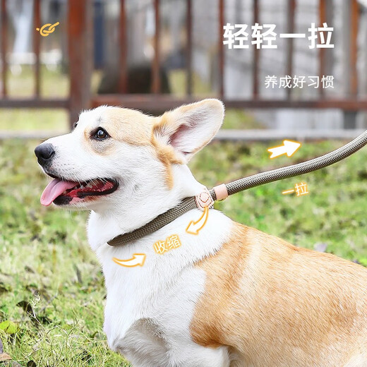 Huayuan pet equipment (hoopet) dog rope explosion-proof Okinawa P rope P chain traction rope collar large and medium-sized dog leash to prevent break-away dog walking
