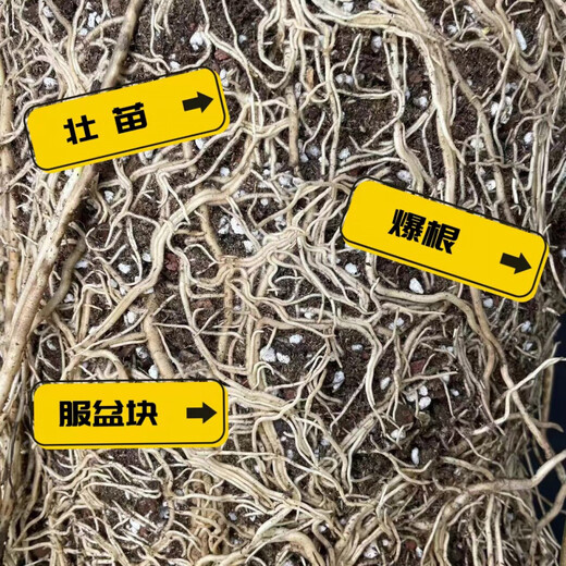 Flower soil, live soil, formula type peat soil, universal nutrient soil, gardening nutrition soil, flower seeds, vegetable soil acid, 1.0 perlite version, one bag of soil (5Jin Jin is equal to 0.5 kg, about 12 liters)