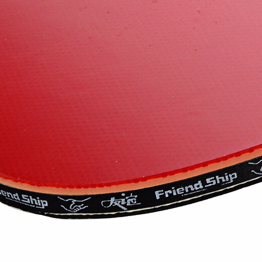 729友谊729乒乓球拍儿童初学者小学生中考训练兵乓球成品单拍乒乓拍 金二星【长柄横拍】2星