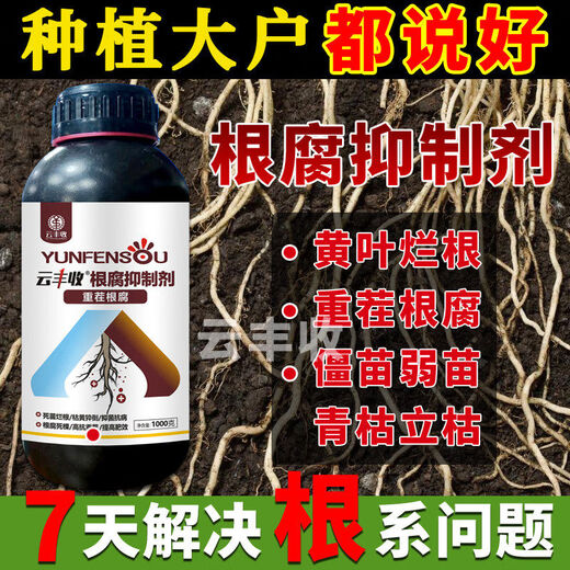 Root rot agent, anti-heavy crop root rot damping off, leaf rot, root root activation, soil manufacturer direct sale, benefit 10004 bottles + 1 measuring cup